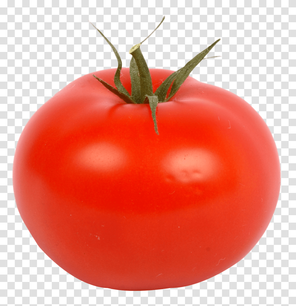 Fresh Red Tomato Image, Vegetable, Plant, Food Transparent Png