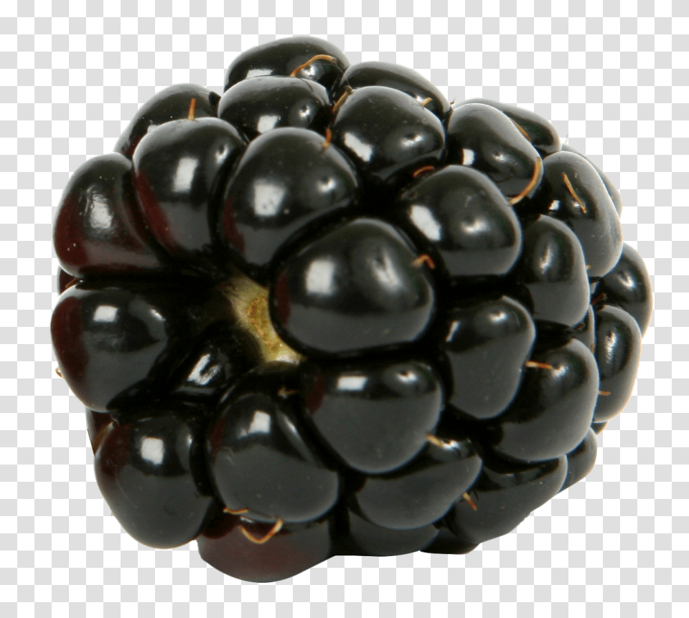 Fresh Single Blackberry Image, Fruit, Plant, Food, Grapes Transparent Png