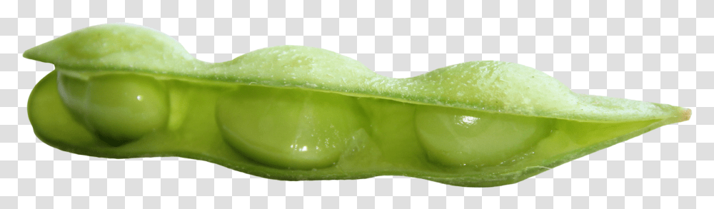Fresh Soybean Image Soy Bean Green, Plant, Vegetable, Food, Sliced Transparent Png