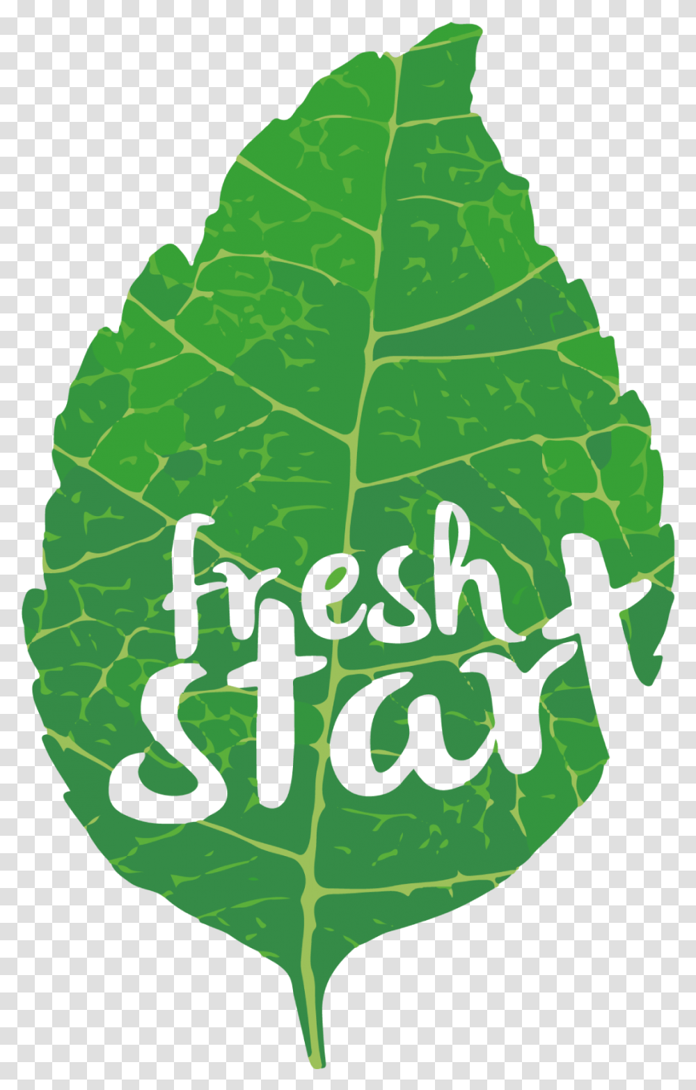 Fresh Start, Leaf, Plant, Label Transparent Png
