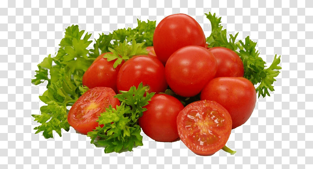Fresh Tomato Free Download Gandhi And Freedom Struggle Ppt, Plant, Vase, Jar, Pottery Transparent Png