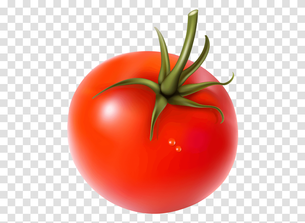 Fresh Tomato Hd, Plant, Vegetable, Food, Balloon Transparent Png