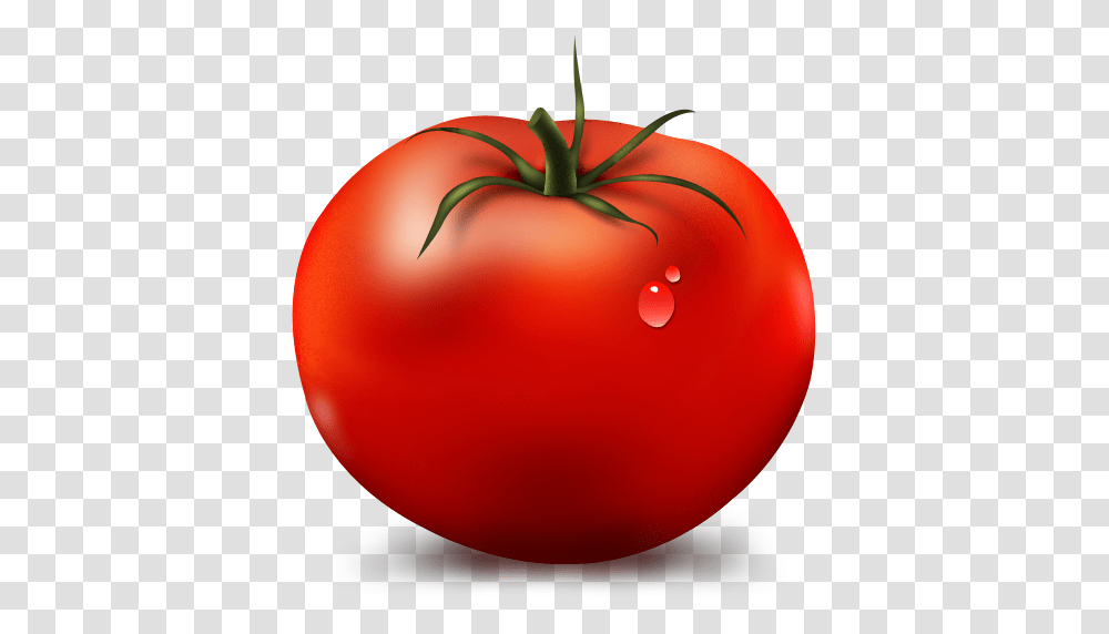 Fresh Tomato Photo Arts, Balloon, Plant, Vegetable, Food Transparent Png