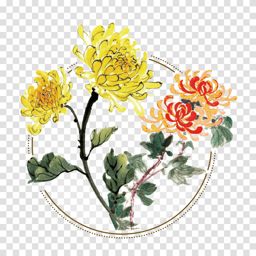 Fresh Two Tone Hand Painted Chrysanthemum Decorative Elements, Floral Design, Pattern Transparent Png