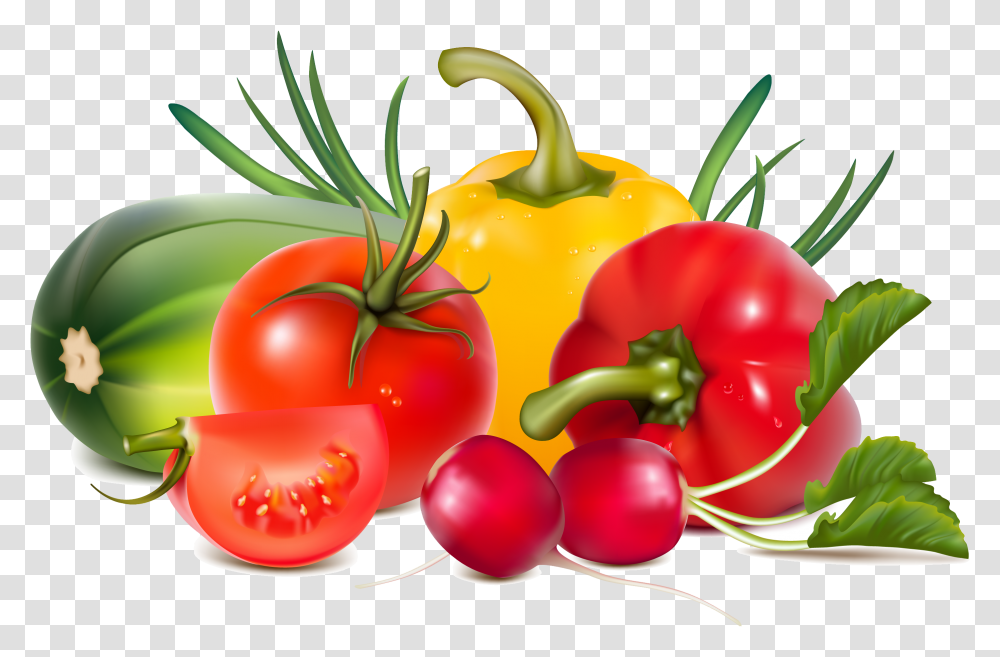 Fresh Vegetables Illustration, Plant, Food, Pepper, Bell Pepper Transparent Png