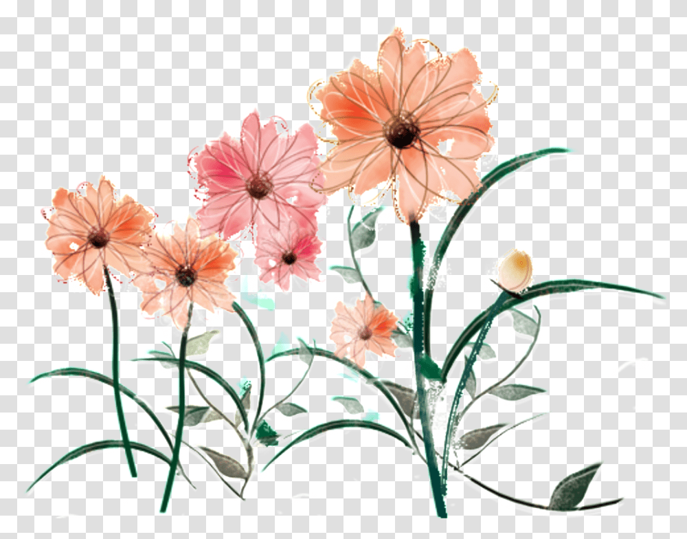 Fresh Water Pink Hand Painted Chrysanthemum Decorative Illustration, Plant, Floral Design Transparent Png