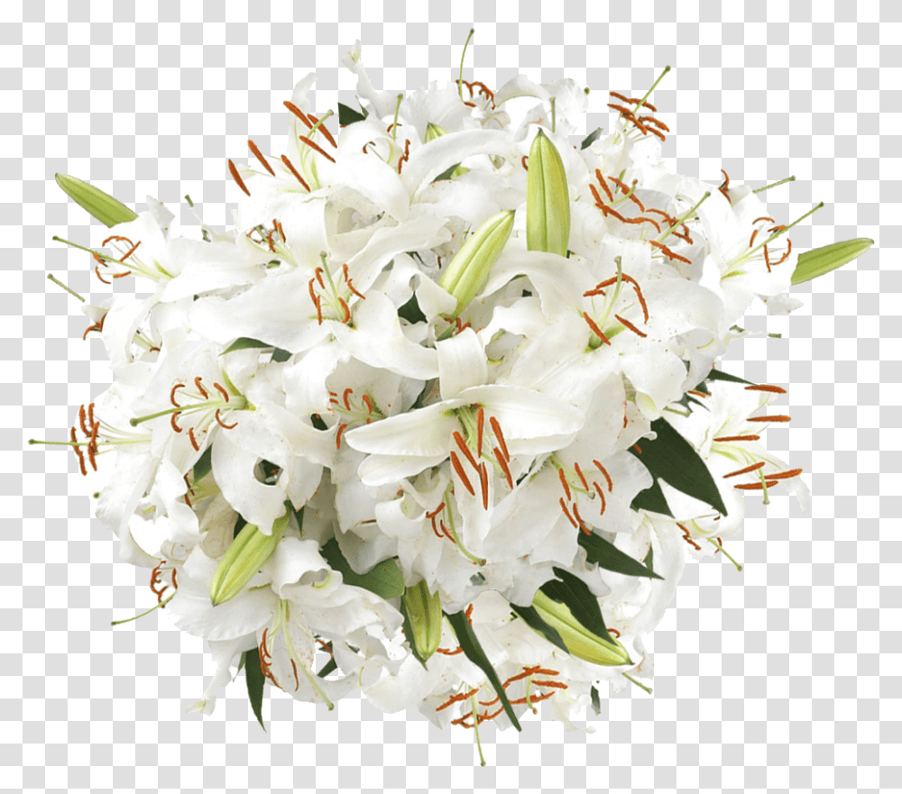 Fresh White Lily Flowers Free Shipping Bouquet, Plant, Blossom, Flower Arrangement, Flower Bouquet Transparent Png