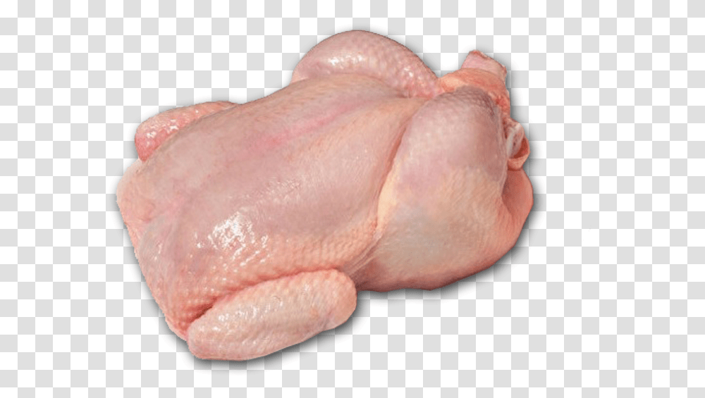 Fresh Whole Chicken, Bird, Animal, Fowl, Poultry Transparent Png