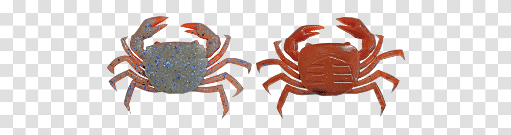 Freshwater Crab, Seafood, Sea Life, Animal, King Crab Transparent Png