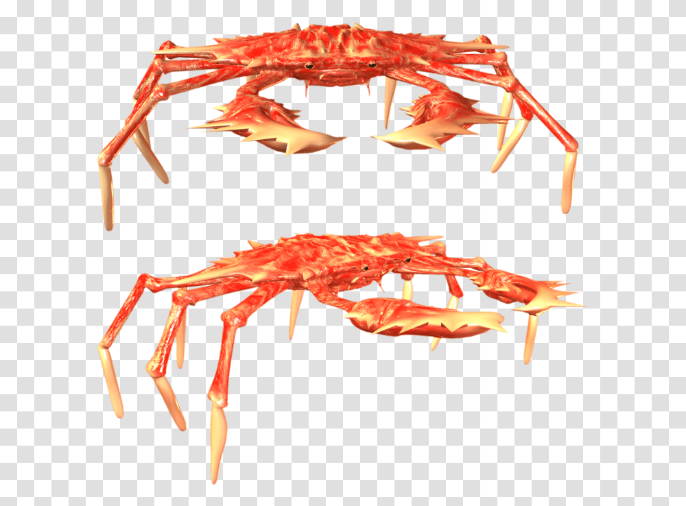 Freshwater Crab, Seafood, Sea Life, Animal, Lobster Transparent Png