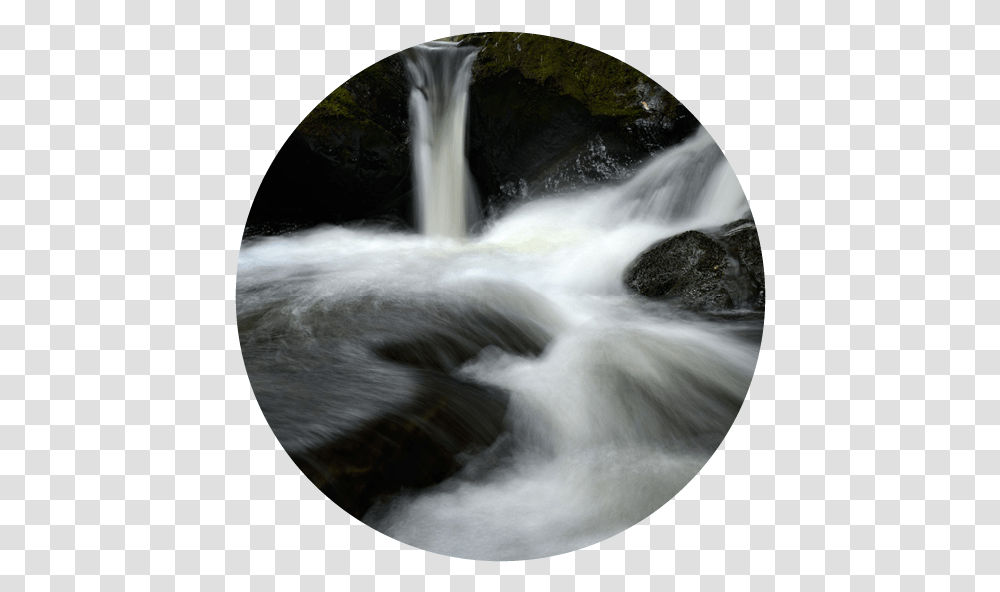 Freshwater Enhancement The Halo Project Waterfall, River, Outdoors, Nature, Cat Transparent Png