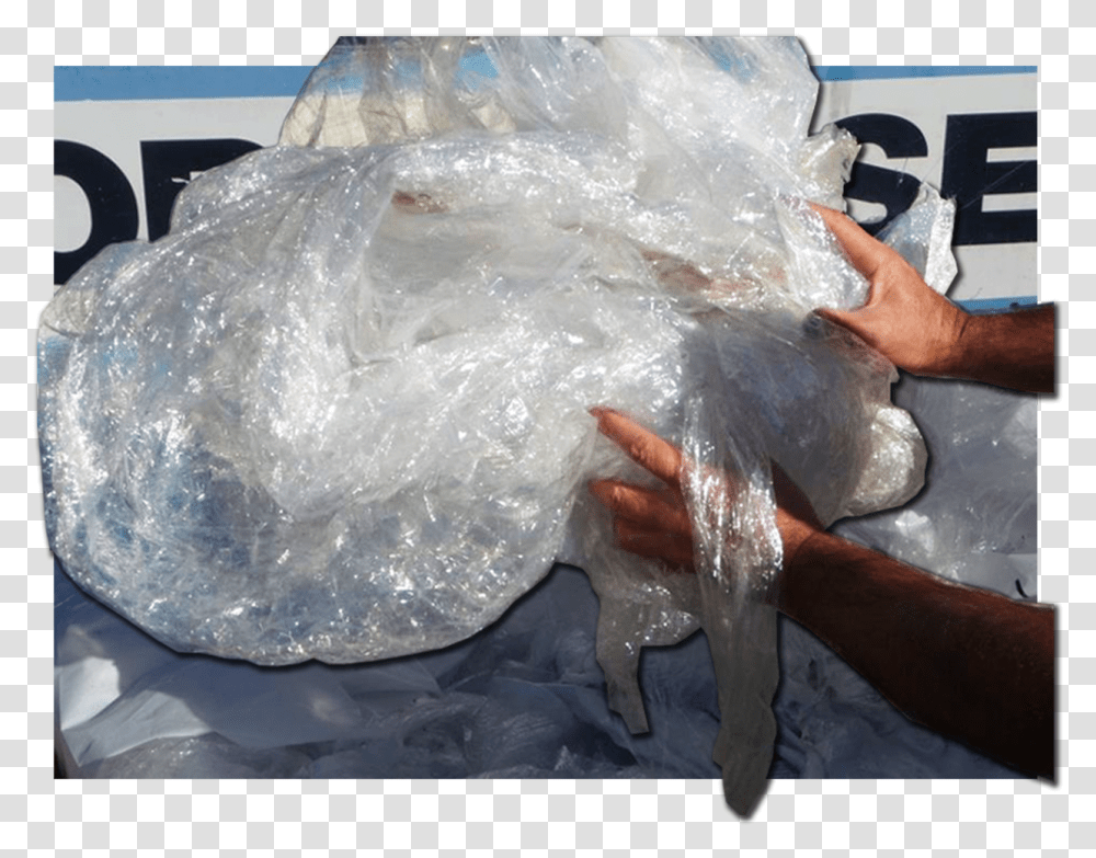 Freshwater Whipray, Plastic Bag, Person, Human, Plastic Wrap Transparent Png