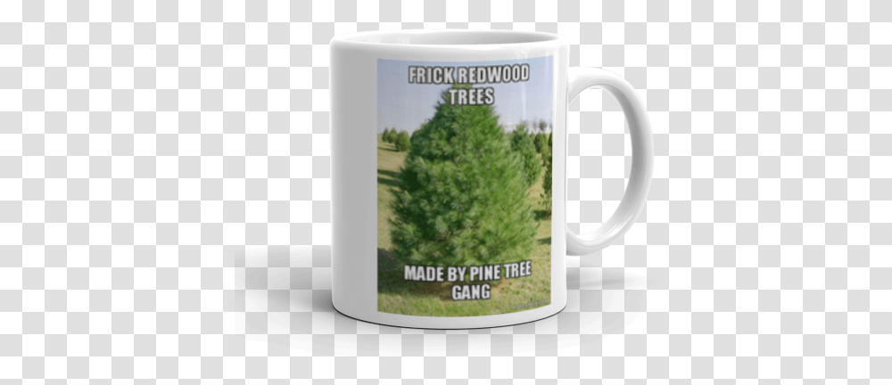 Frick Redwood Trees Made By Pine Tree Gang Make A Meme Eastern White Pine Tree, Coffee Cup, Plant, Vegetation, Bush Transparent Png