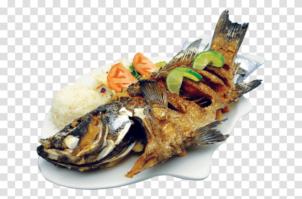 Fried Fish, Lobster, Seafood, Sea Life, Animal Transparent Png