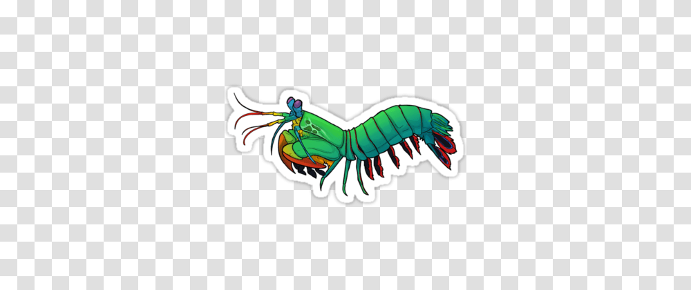Friendly Mantis Shrimp Sticker, Animal, Invertebrate, Sea Life, Dinosaur Transparent Png