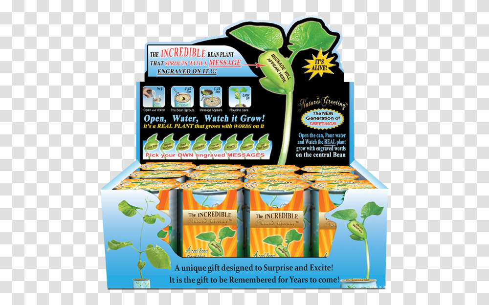 Friends Forever Magic Plant Grow Your Own Magic Bean, Flyer, Poster, Paper, Advertisement Transparent Png