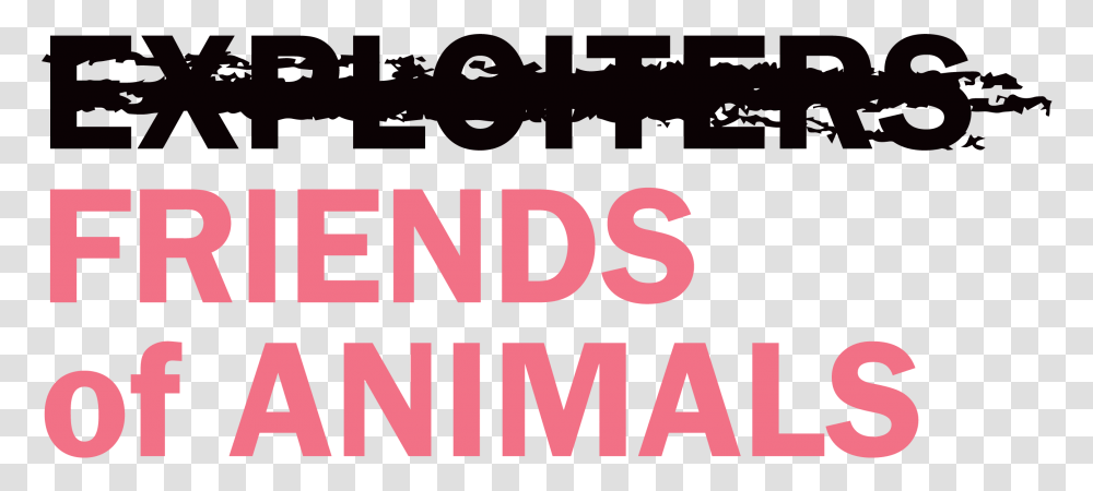 Friends Of Animals, Alphabet, Word, Number Transparent Png