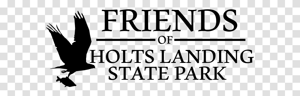 Friends Of Holts Landing State Park Logo Pigeons And Doves, Gray, World Of Warcraft Transparent Png