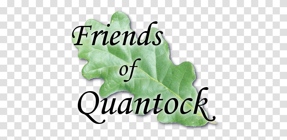 Friends Of Quantock Logo Natural Foods, Leaf, Plant, Produce, Vegetable Transparent Png