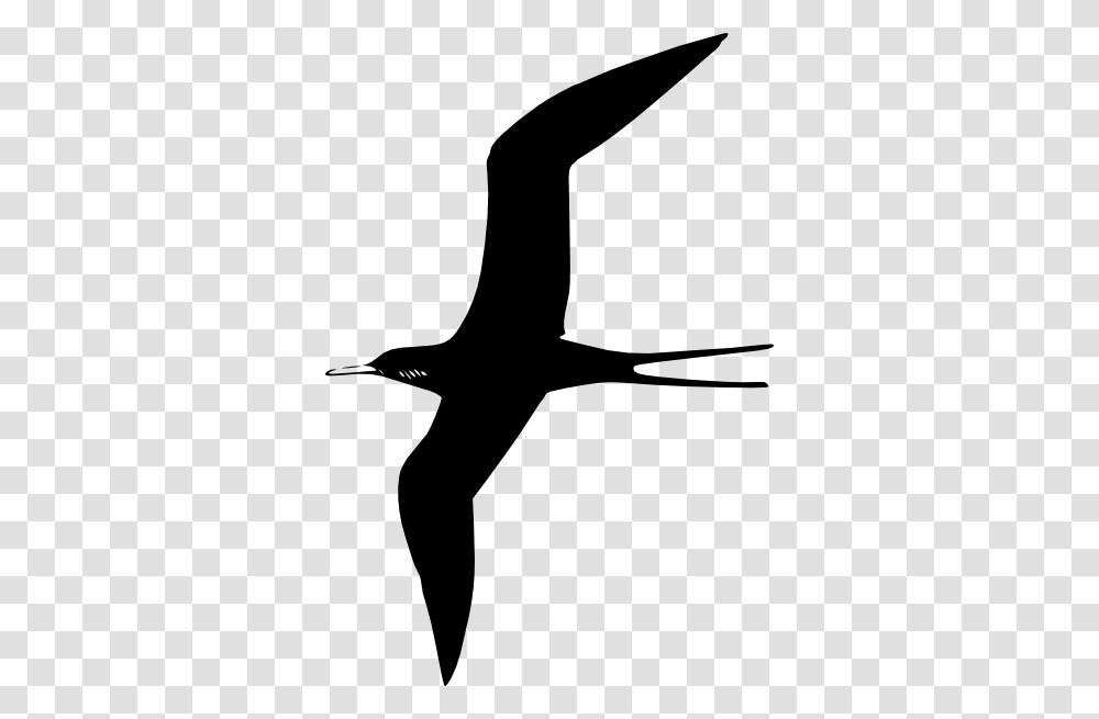 Frigate Bird Clip Art, Flying, Animal, Silhouette, Hammer Transparent Png