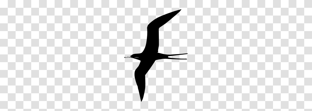 Frigate Bird Clip Art Ink Birds Art And Clip Art, Silhouette, Animal, Hammer, Tool Transparent Png