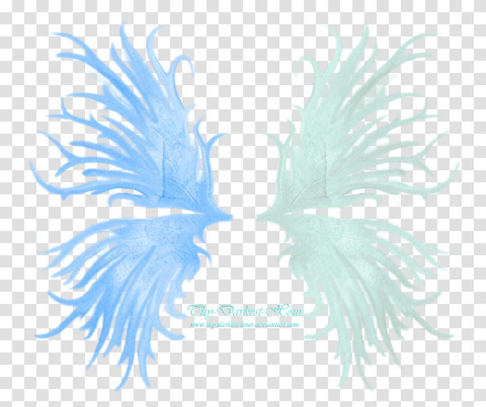 Frilled Fairy Wings 02 By Thy Darkest Hour Portable Network Graphics, Emblem, Eagle Transparent Png