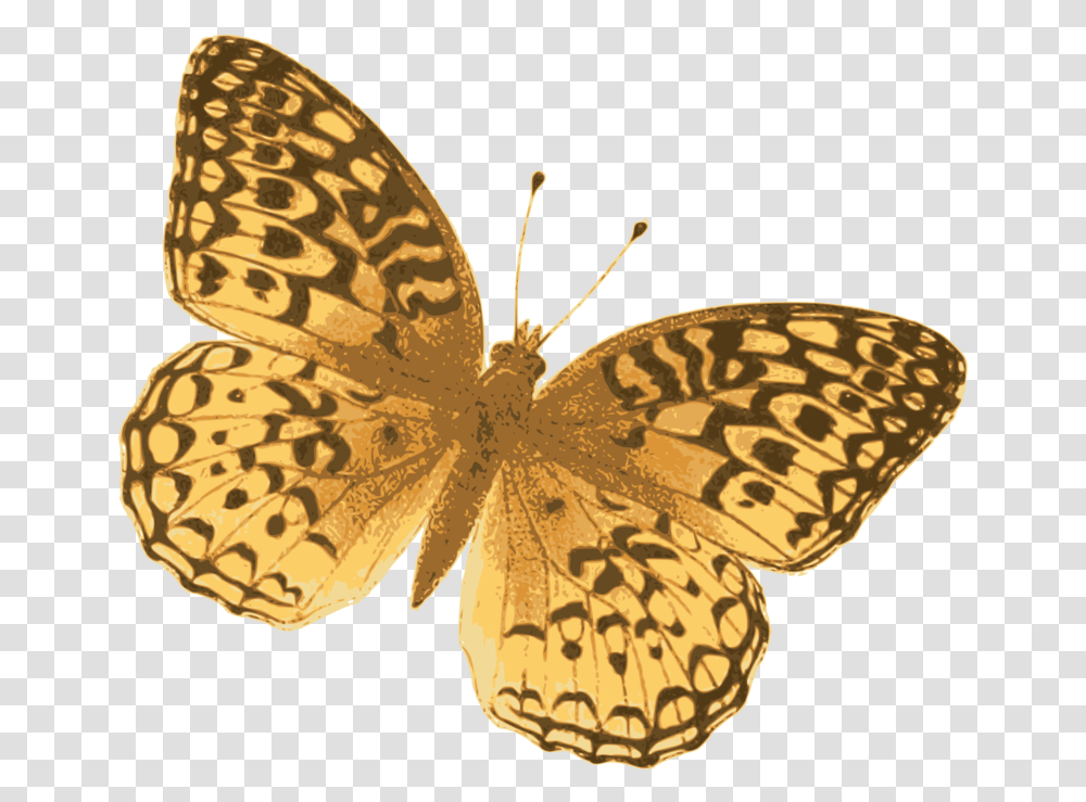 Fritillar Silver Washed Fritillary, Butterfly, Insect, Invertebrate, Animal Transparent Png