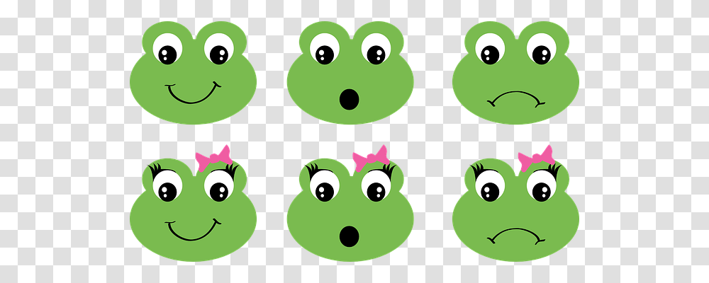 Frog Green Transparent Png