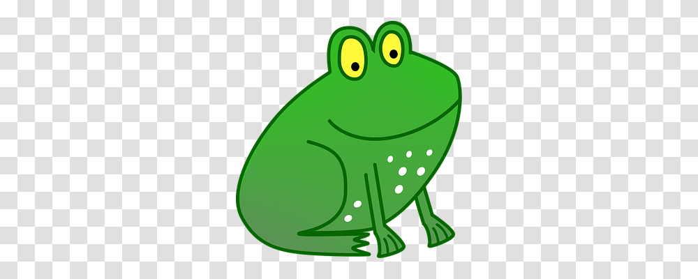 Frog Person, Amphibian, Wildlife, Animal Transparent Png
