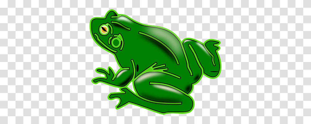 Frog Animals, Amphibian, Wildlife, Reptile Transparent Png