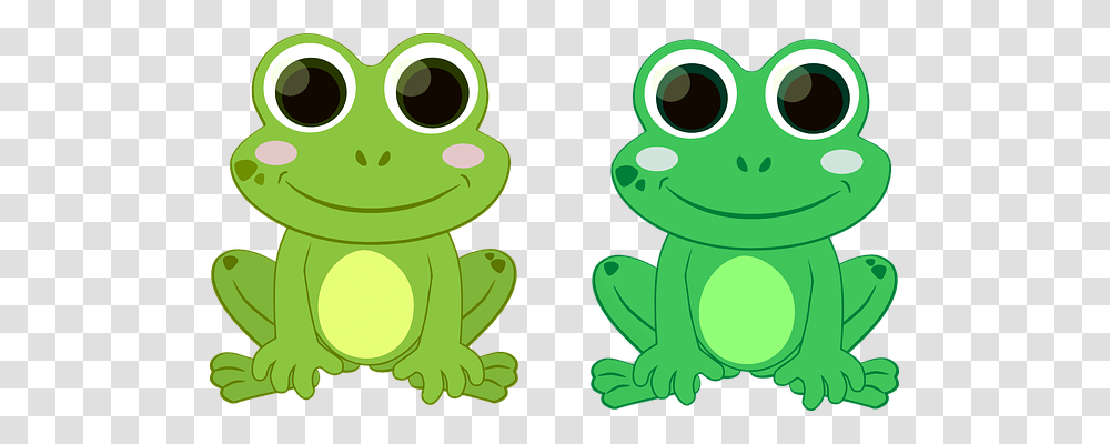 Frog Nature, Amphibian, Wildlife, Animal Transparent Png