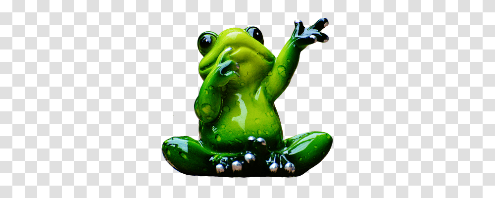 Frog Animals, Amphibian, Wildlife, Photography Transparent Png