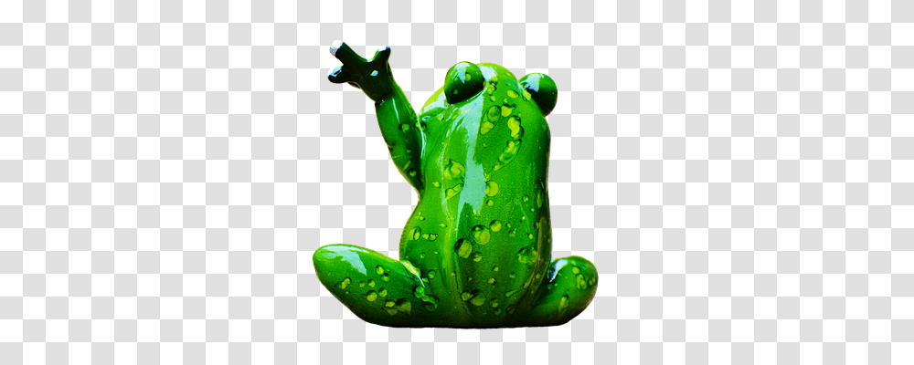 Frog Animals, Amphibian, Wildlife, Tree Frog Transparent Png