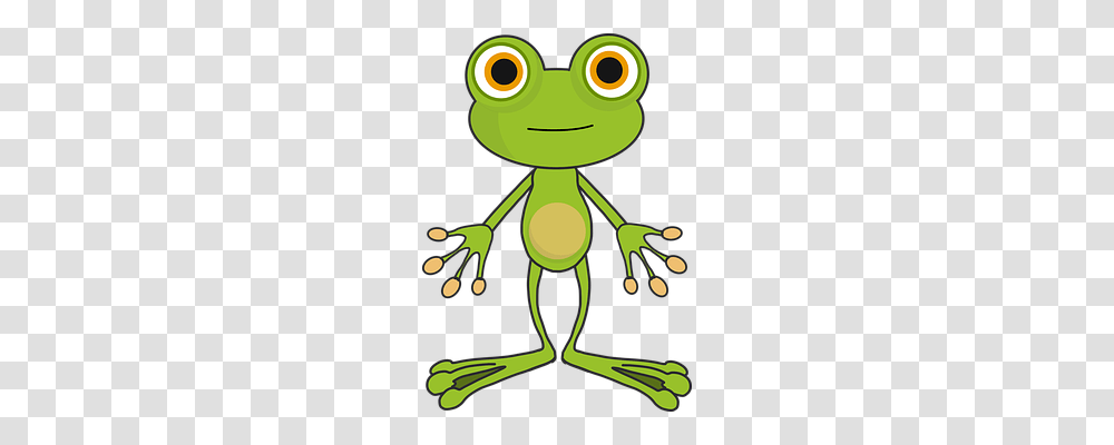Frog Person, Amphibian, Wildlife, Animal Transparent Png