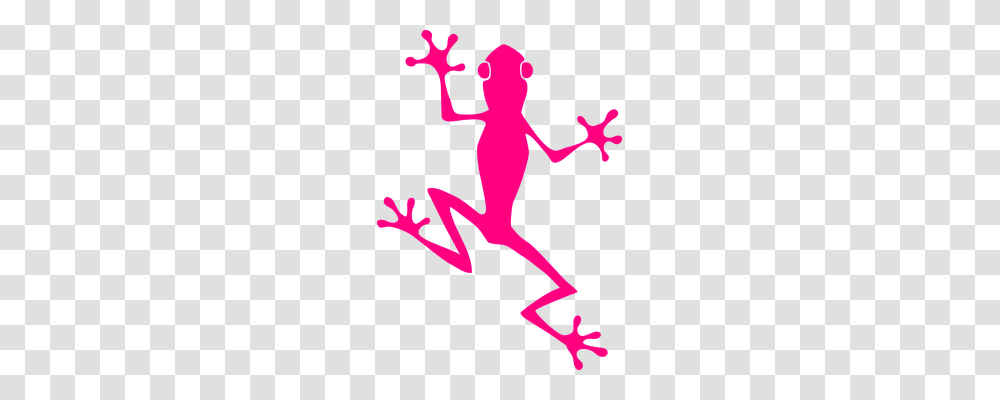 Frog Nature, Emblem, Logo Transparent Png