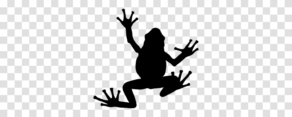 Frog Animals, Gray, World Of Warcraft Transparent Png