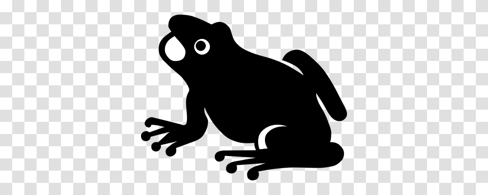 Frog Animals, Outdoors, Nature, Moon Transparent Png