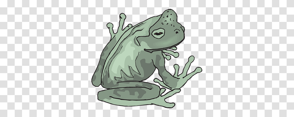 Frog Nature, Wildlife, Animal, Amphibian Transparent Png