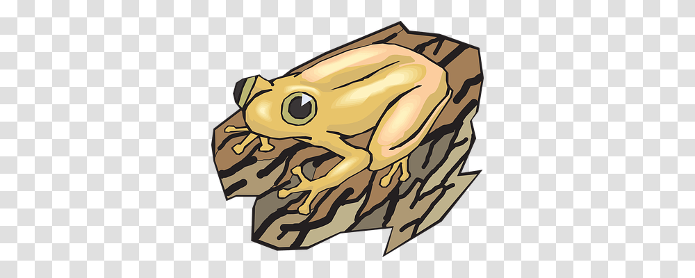 Frog Nature, Wildlife, Animal, Amphibian Transparent Png