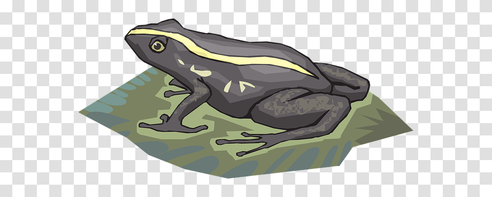 Frog Nature, Wildlife, Animal, Amphibian Transparent Png