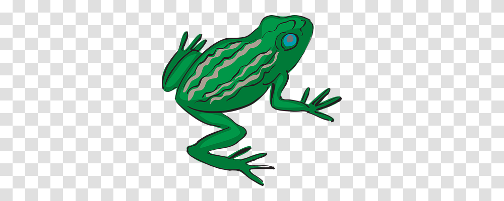 Frog Nature, Animal, Amphibian, Wildlife Transparent Png