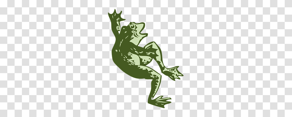 Frog Sport, Animal, Wildlife, Amphibian Transparent Png