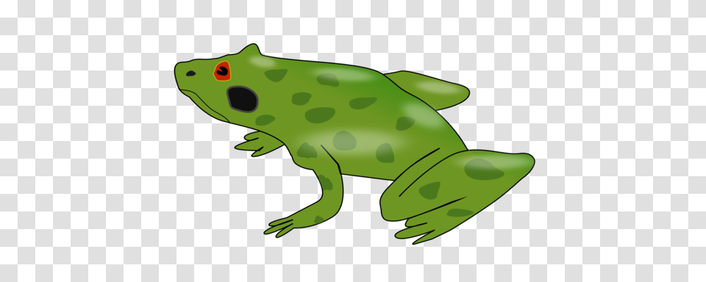 Frog Amphibian Common Toad Amplexus, Wildlife, Animal, Salamander Transparent Png