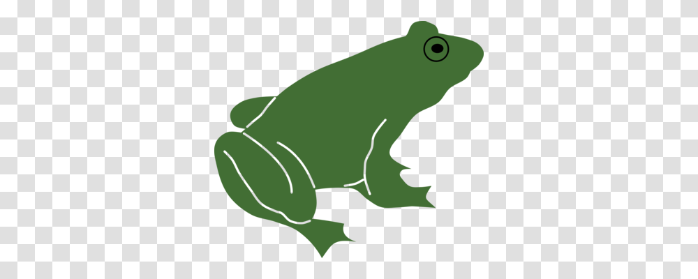 Frog Amphibian Lithobates Clamitans Toad Download, Wildlife, Animal, Tree Frog Transparent Png