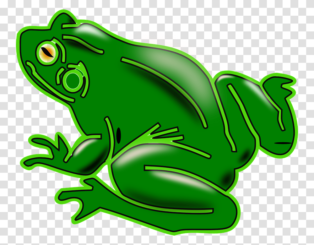Frog Amphibian Tree Frog Green Animal Shiny Clipart Rana, Wildlife, Reptile Transparent Png