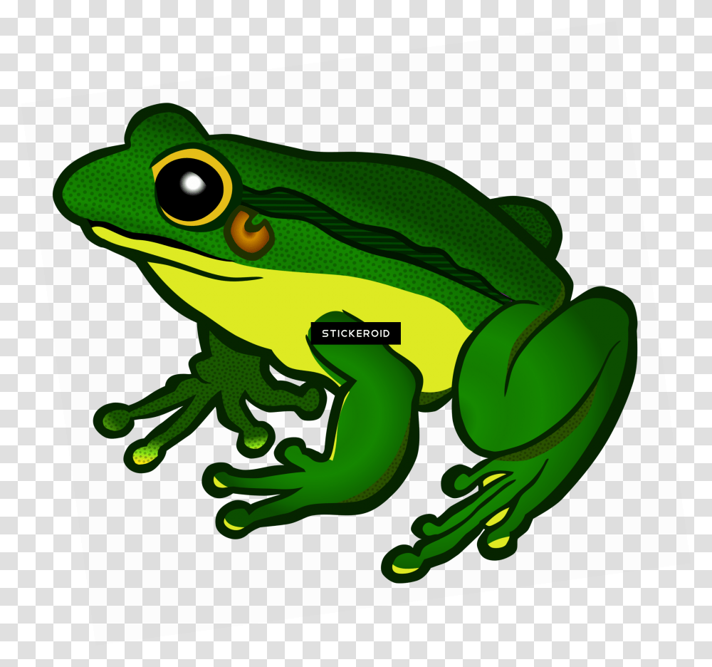 Frog, Amphibian, Wildlife, Animal, Dinosaur Transparent Png