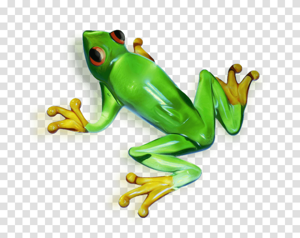 Frog, Amphibian, Wildlife, Animal, Toy Transparent Png