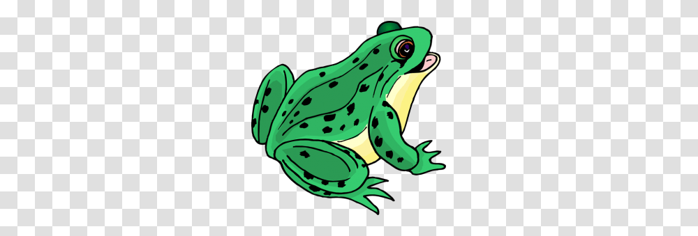Frog And Toad Clipart Clip Art Images, Amphibian, Wildlife, Animal, Tree Frog Transparent Png