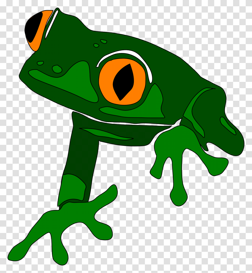 Frog Animal Cute Free Vector Graphic On Pixabay Costa Rica Clip Art, Amphibian, Wildlife, Tree Frog Transparent Png
