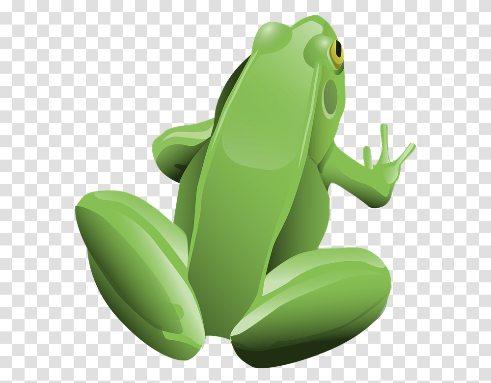 Frog, Animals, Amphibian, Wildlife, Banana Transparent Png